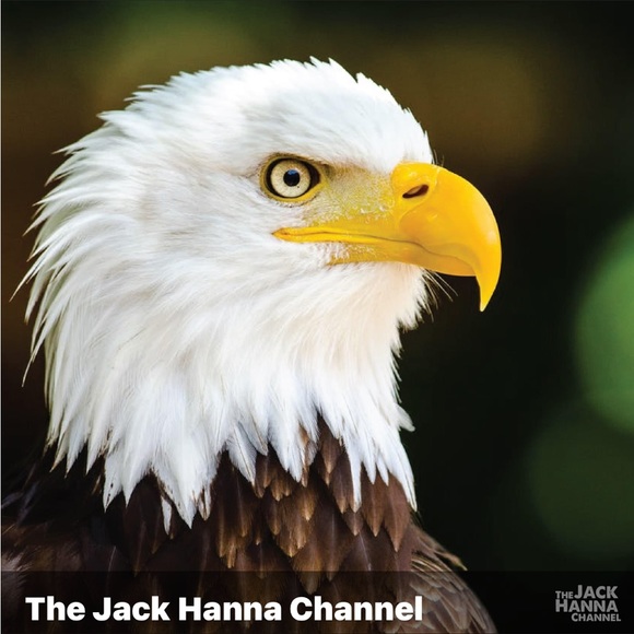 Meet your Posher, Mariah - Picture 3 of 7